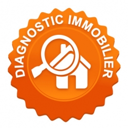 Diagnostic immobilier