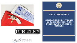 Délivrance bail commercial et exception d'inexécution Délivrance bail commercial et exception d'inexécution